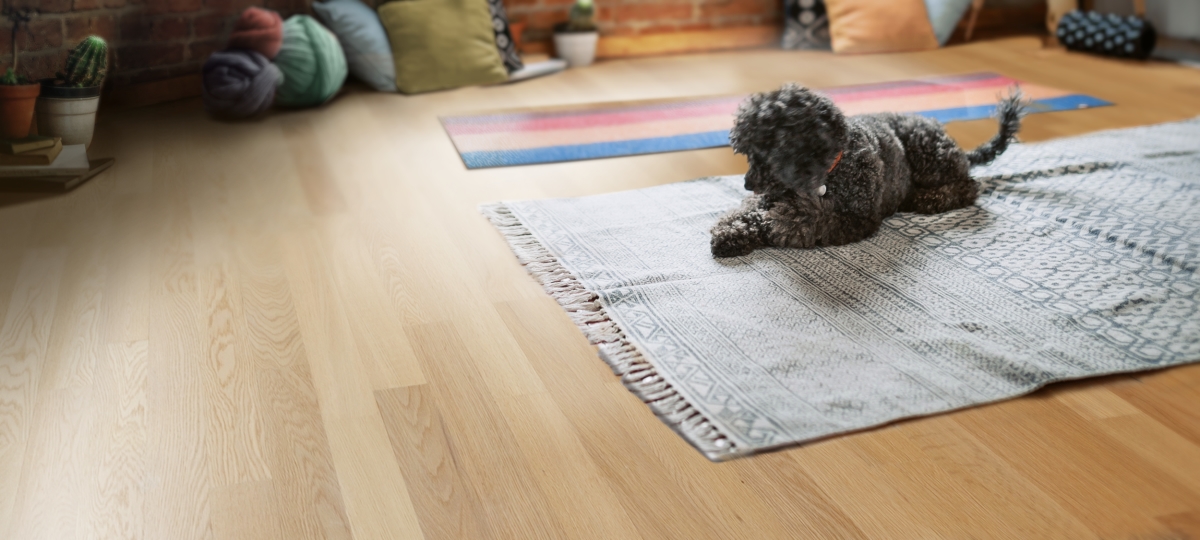 Hardwood vsTile Flooring - Speedy Floor Removal - North Central FL