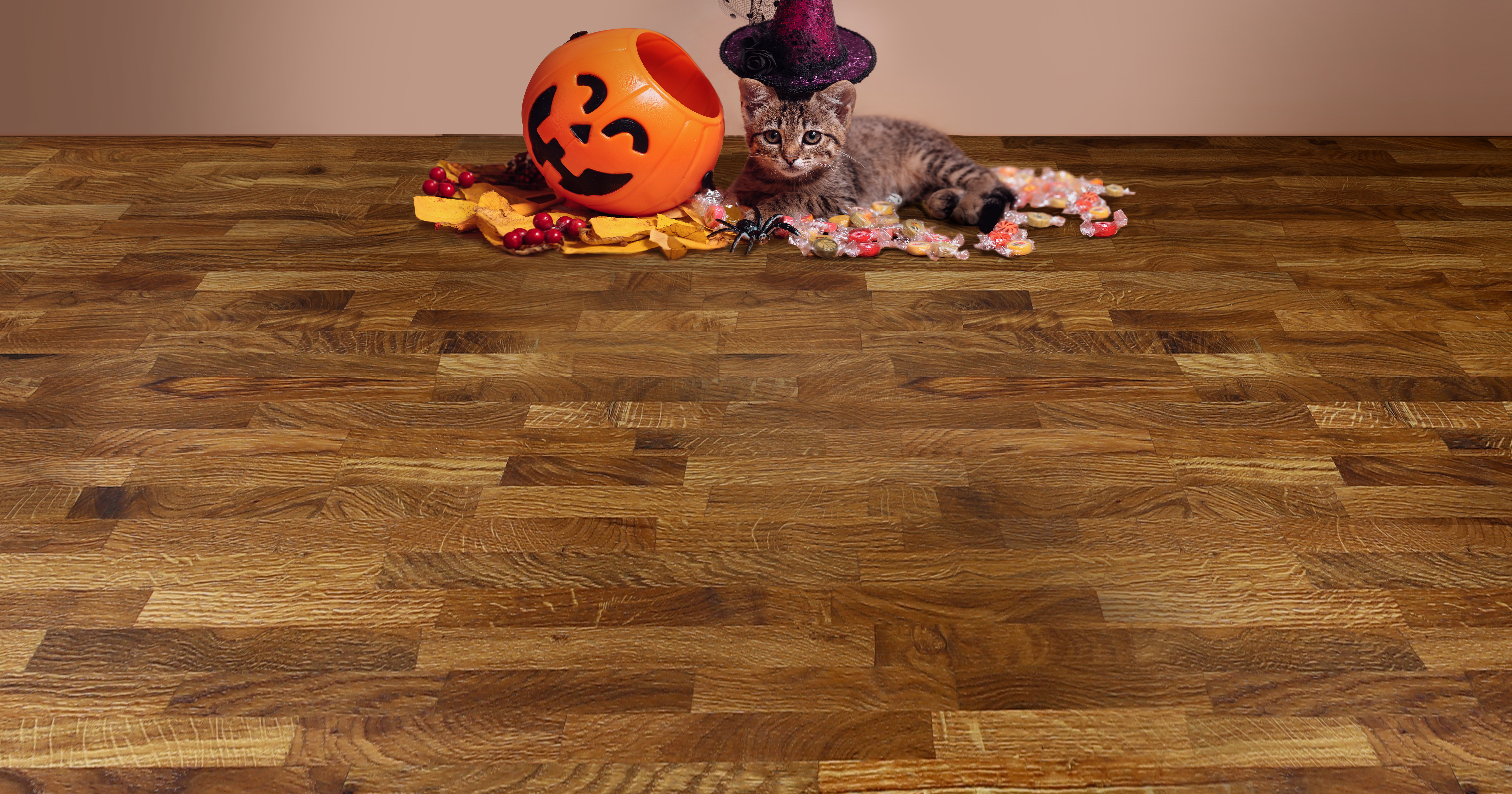 Halloween Holiday Cleaning Tips
